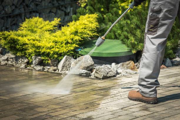 Best Winterizing Services  in Temple City, CA